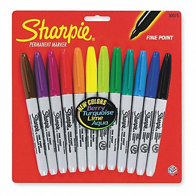 Permanent Marker Set Assorted PK12