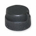 Round Cap Malleable Iron 1/4 in NPT