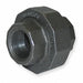 Union Malleable Iron 3/4 in Female NPT