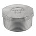 Hex Head Plug 304 SS 2 in MNPT Class 150