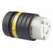 Connector 250VAC 20A L6-20R 2P 3W