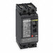 Circuit Breaker 20A 2P 600VAC HG