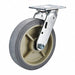 Standard Plate Caster Swivel 600 lb.