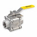 Alloy 20 SS Ball Valve FNPT 1 in