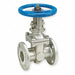 Gate Valve 1-1/2 in Flange