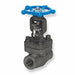 Gate Valve Class 800 1/2 In.