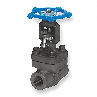 Gate Valve Class 800 3/4 In.