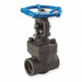 Gate Valve Class 800 1/2 in Socket Weld