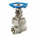 Gate Valve Class 800 1 In.