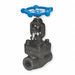 Globe Valve 1/2 Steel FNPT 1975 psi