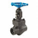 Globe Valve 1-1/2 Steel Socket 1975 psi