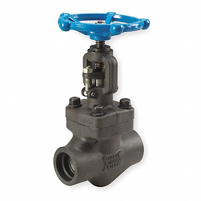 Globe Valve 1 Steel Socket 1975 psi