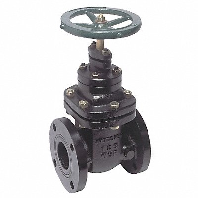 Gate Valve Class 125 3 in Flange