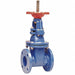 Gate Valve Class 250 4 In.