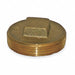 Square Head Plug Brass 2 MNPT Class 125