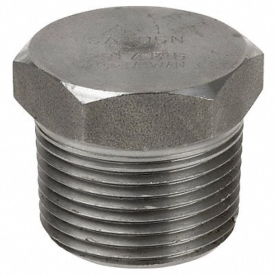 Hex Head Plug 316L SS 2 1/2 in MNPT