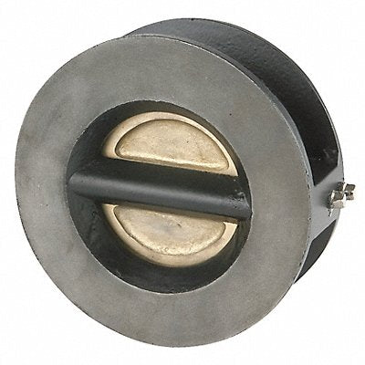 Disc Check Valve Cast Iron 2 Flange