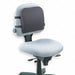 Backrest Memory Foam Black