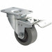 Standard Plate Caster Swivel 250 lb.