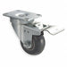 Standard Plate Caster Swivel 350 lb.