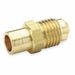 Adapter Brass Solder x Flare 3/4 In.