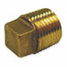 Solid Plug Red Brass 3/8 MNPT Class 125