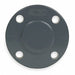 Blind Flange 2 1/2 in Schedule 80