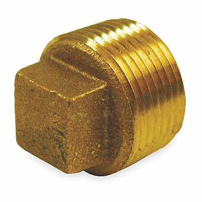 Cored Plug Red Brass 2 MNPT Class 125