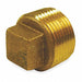 Cored Plug Red Brass 1in Class 125