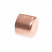 Cap Wrot Copper 2-1/2 Tube C