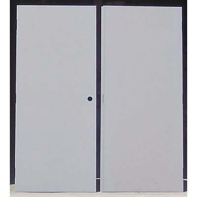 Flush Double Door Type CE Steel PK2