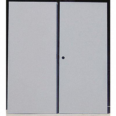 Flush Double Door Type CE Steel PK2