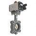 Butterfly Valve Dbl Acting Cast Iron 2In