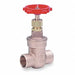 Gate Valve Class 125 1/2 in Bronze