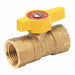 Gas Ball Valve Brass FNPT 3/4 