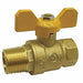 Ball Valve 1/4 FNPT x MNPT Brass