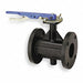 Butterfly Valve Lever 4 In Cast Iron