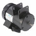 Motor 1 1/2 HP 3450 rpm 143Y 115/230V