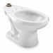 Bariatric Toilet Bowl Elongated Floor