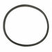 Paint Tank Gaskets