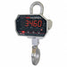 Crane Scales and Dynamometers