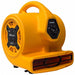 Air Mover 3 Speed 1/5 hp Motor