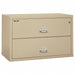 Lateral File 2 Drawer 44-1/2 in W