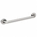 Grab Bar SS Satin 42 in L