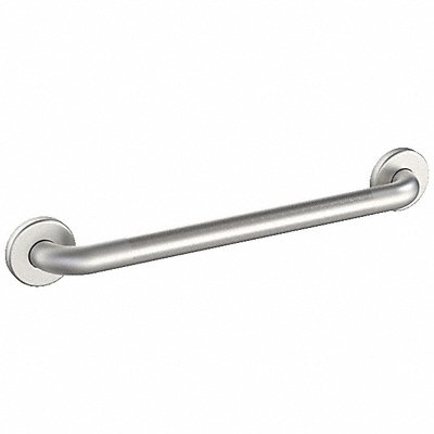 Grab Bar SS Peened Satin 18 in L