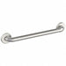 Grab Bar SS Peened Satin 42 in L