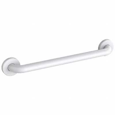 Grab Bar SS Painted 24 in L