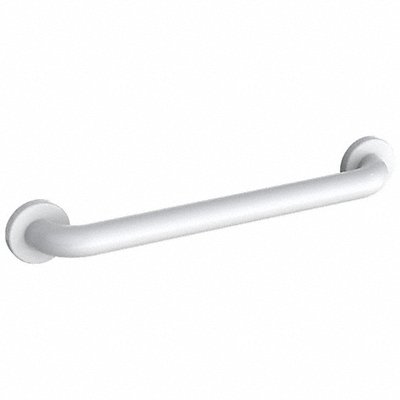 Grab Bar SS Painted 18 in L