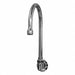 Faucet Spouts and Spout Extensions
