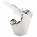 SS Faucet Bubbler Pipe 3/8 in Silver